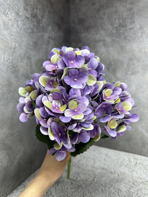 Букет гортензии Бг 1446-8
