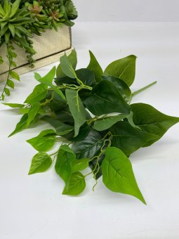 Куст сирени Кс 1237