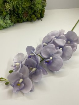 Ветка орхидеи ВО 510-2