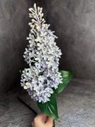 Ветка сирени В 1096-4 Ветка сирени В 1096-4