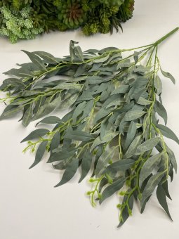 Куст рускуса КС 385-2