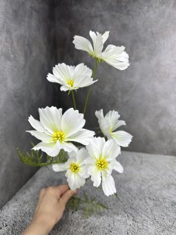 Космея К 1762