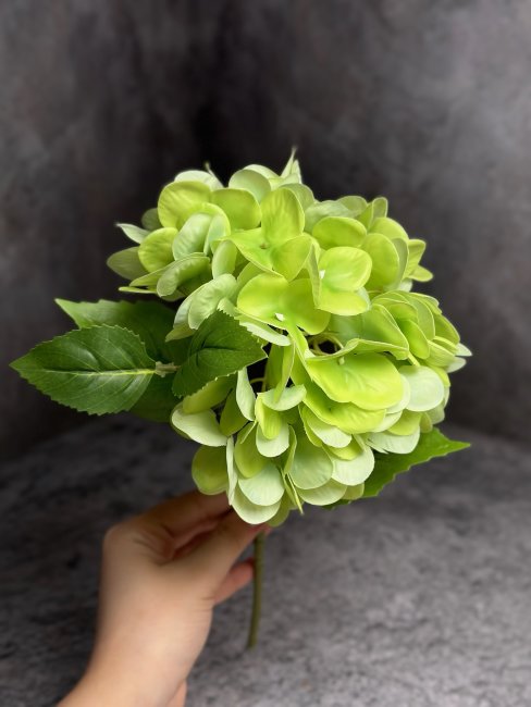Ветка  гортензии Вг 1469
