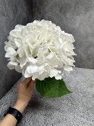 Ветка гортензии Вг 1644