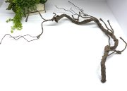 Коряга К 934