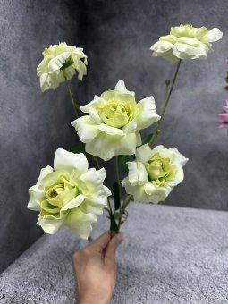Ветка розы ВР 272-5