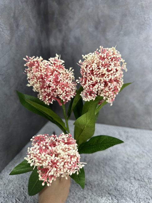 Скумпия С 1112-5