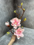 Магнолия М 1321-2
